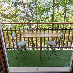 Studio 4 Couchages , Auron France
